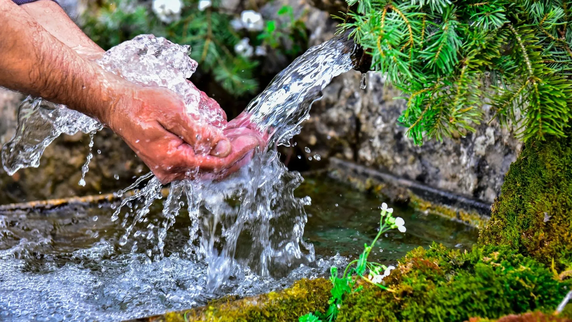 Fuentes públicas y agua potable