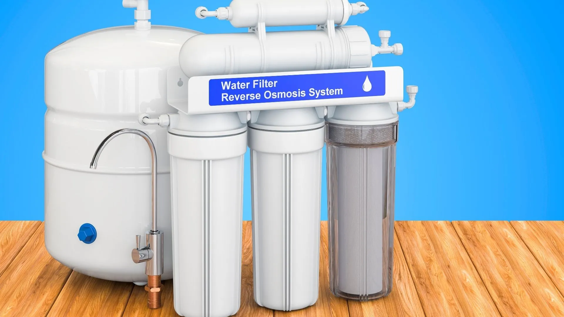 Qué es la ósmosis y su importancia en la biología