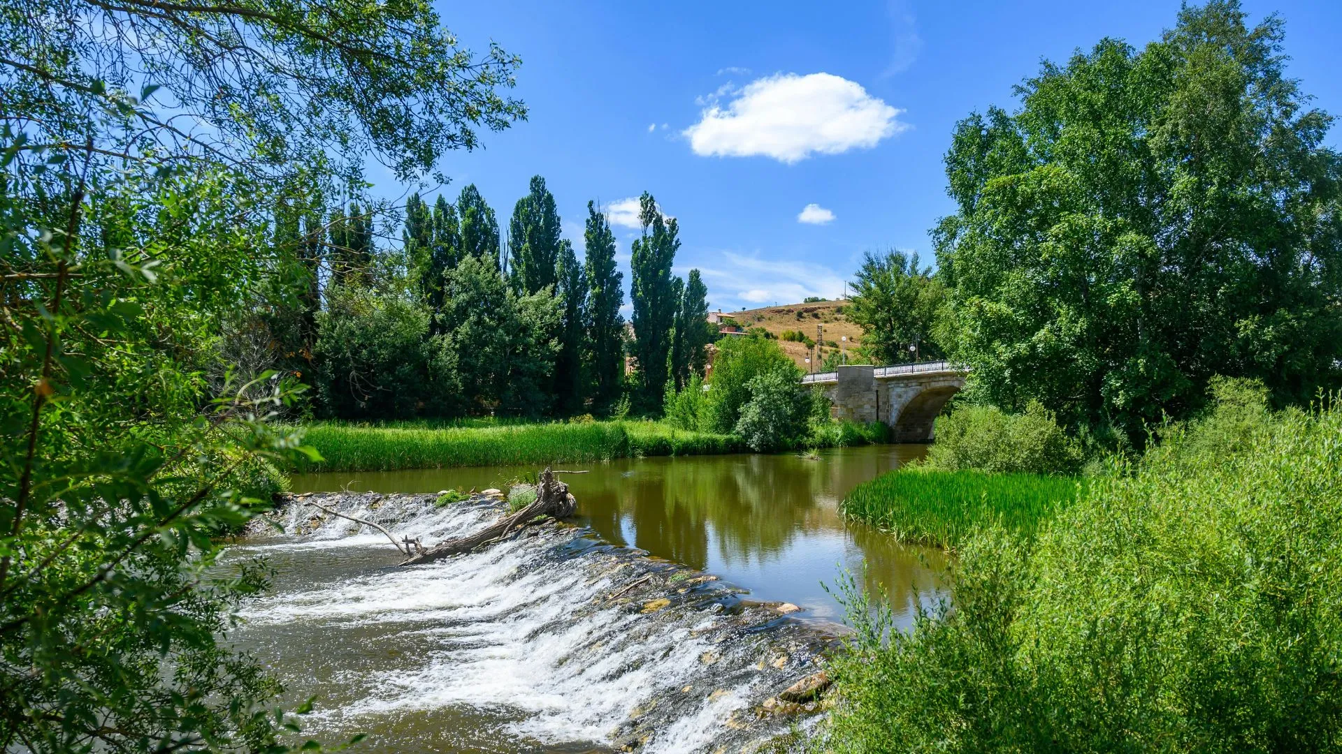 Principales ríos de España que debes conocer